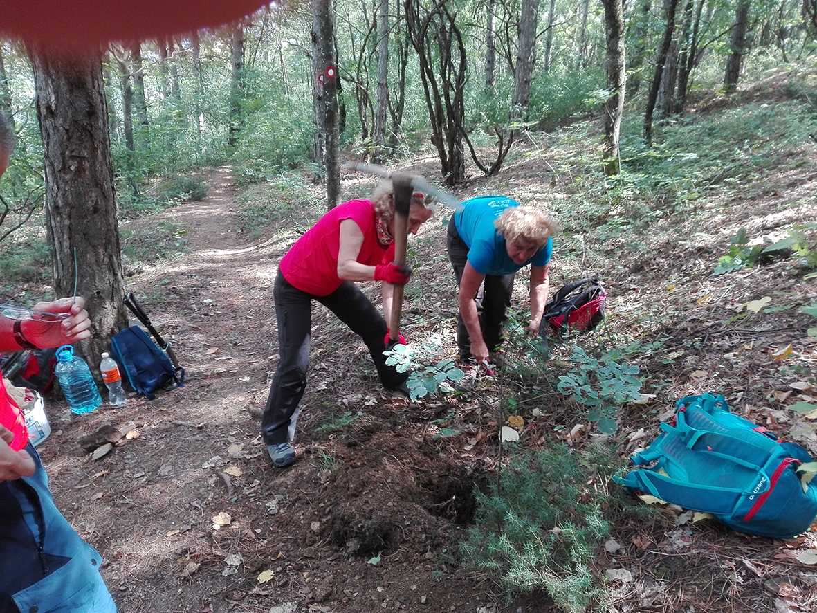 img_20200927_115849 img_20200927_115849