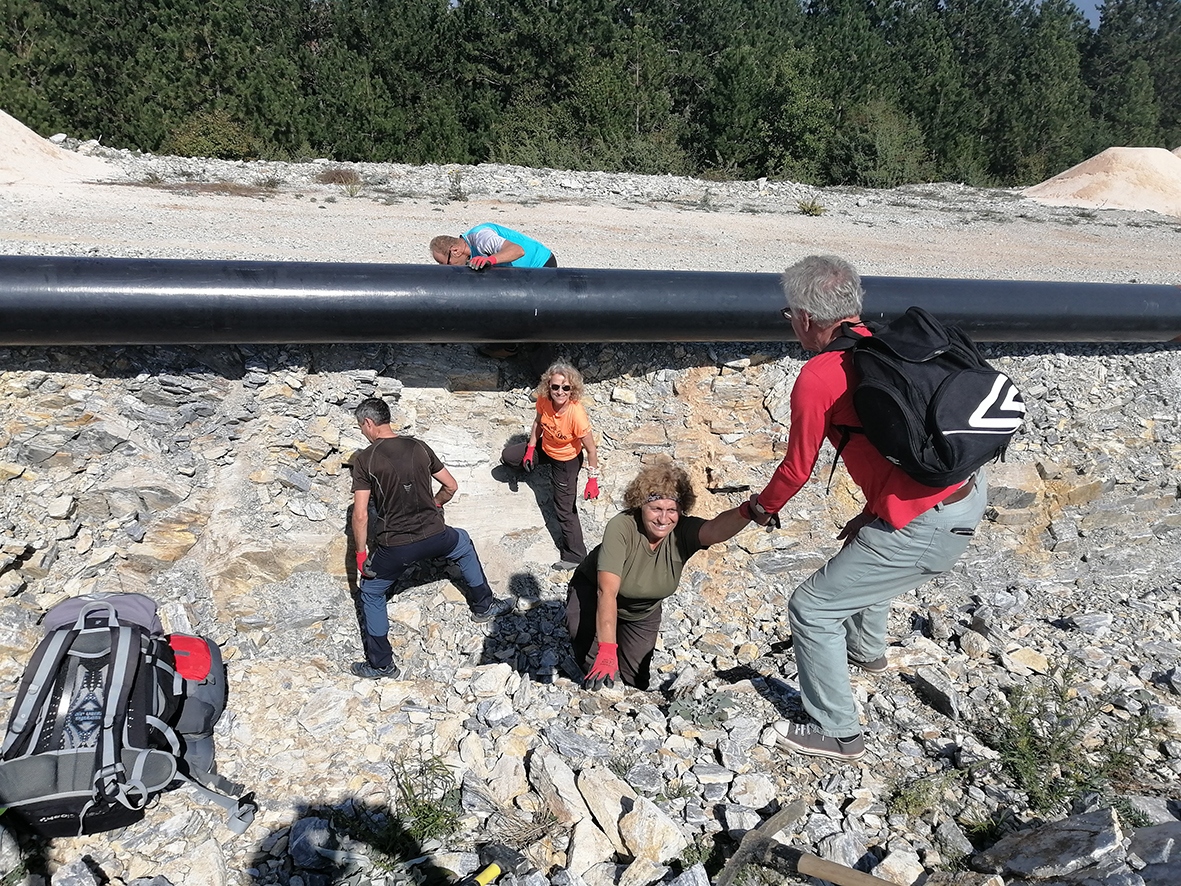 img_20201003_114354 img_20201003_114354