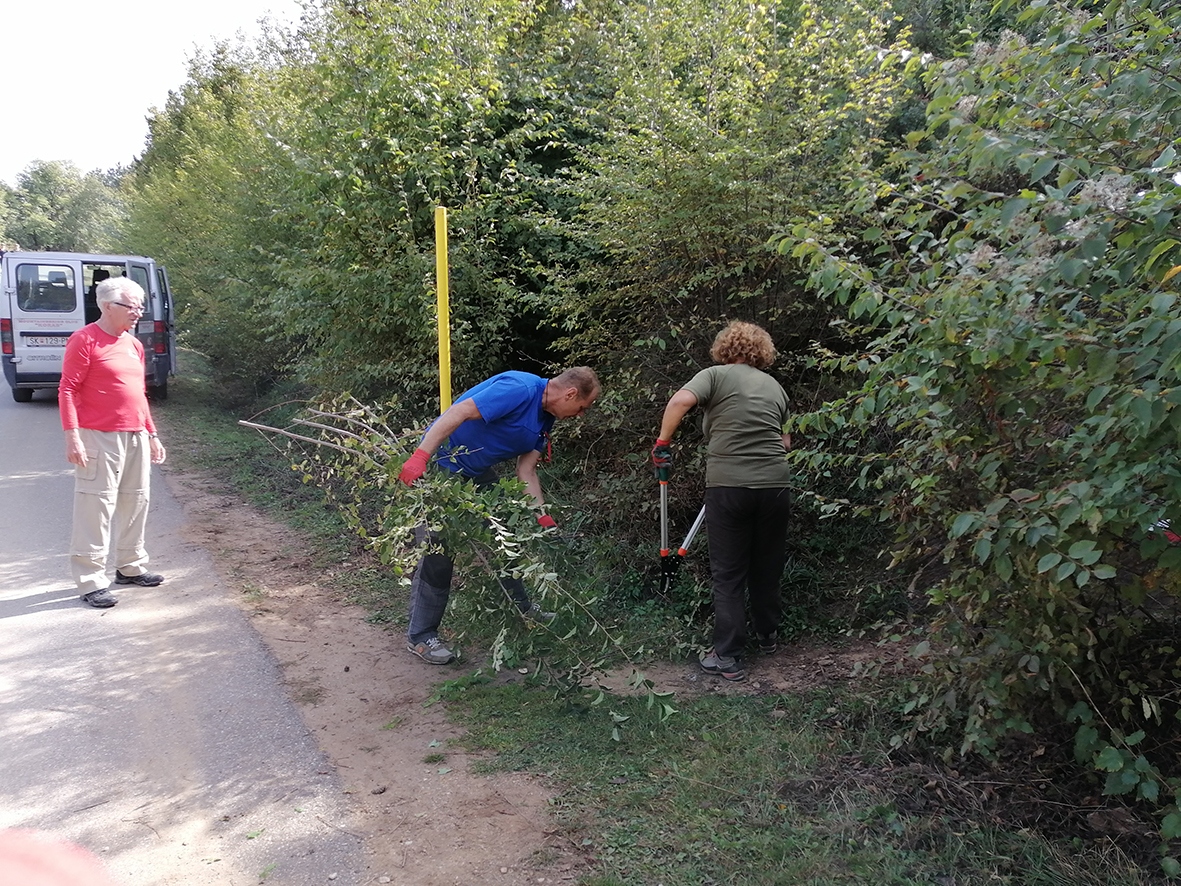 img_20201004_112205 img_20201004_112205