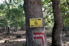 img_20201011_093919