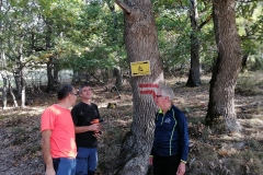 img_20201011_093931