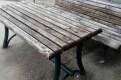 IMG-1979a5f3fc32c024020943d3aa8e3eb2-V1