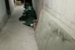 IMG-d124a01c23aa47f0e6633121fac81863-V